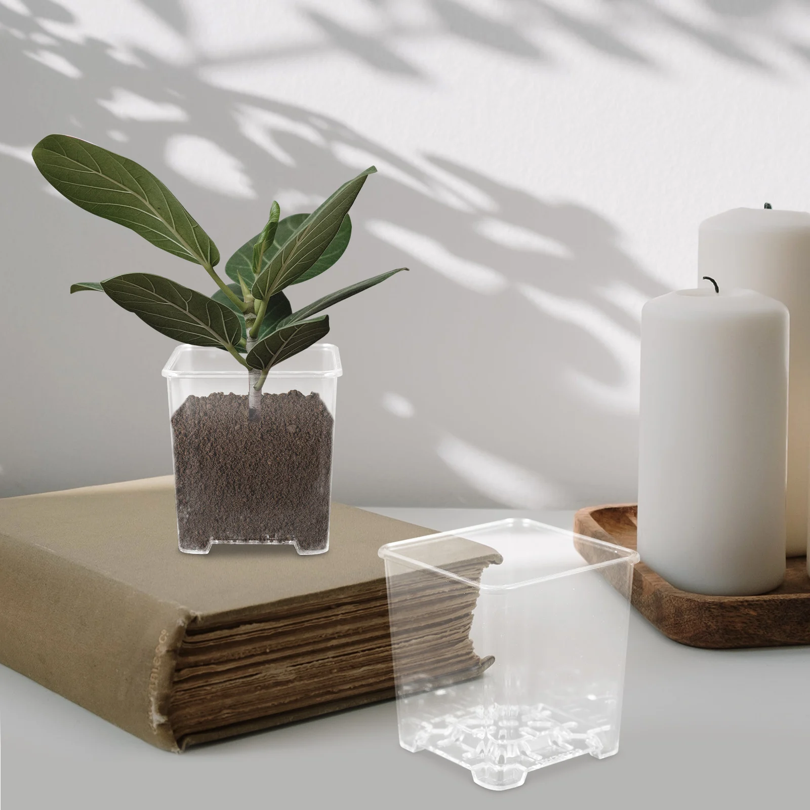 6pcs Orchid Flower Pots Clear Acrylic Planters Nursery Transparent Drainage Hydroponic Starter Garden for Succulents Durable
6pcs Orchid Flower Pots Clear Acrylic Planters Nursery Transparent Drainage Hydroponic Starter Garden for Succulents Durable