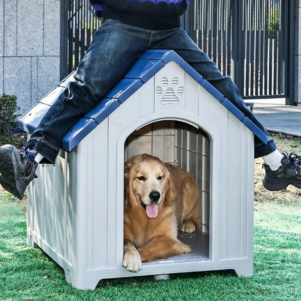 Питомник для собак на открытом воздухе, защита от дождя и солнца, повышающий дизайн, дом для щенков, прочные аксессуары для собак, принадлежности
Питомник для собак на открытом воздухе, защита от дождя и солнца, повышающий дизайн, дом для щенков, прочные аксессуары для собак, принадлежности