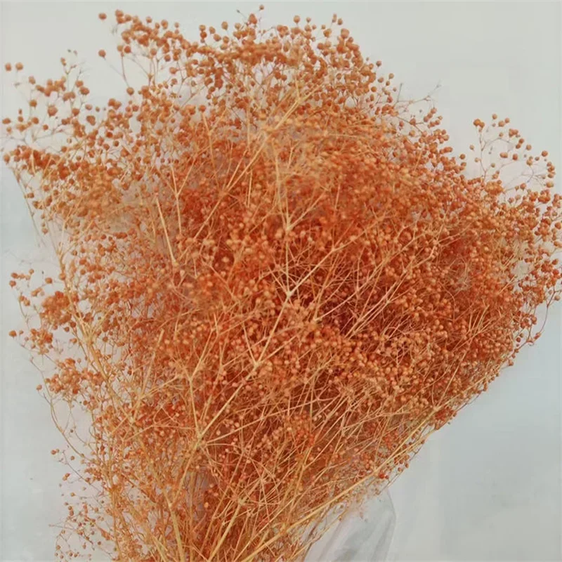 High - demand Real Dried Pressed White Baby's Breath: Bring Natural Grace to Home, Gifts, Weddings & DIY Projects
High - demand Real Dried Pressed White Baby's Breath: Bring Natural Grace to Home, Gifts, Weddings & DIY Projects