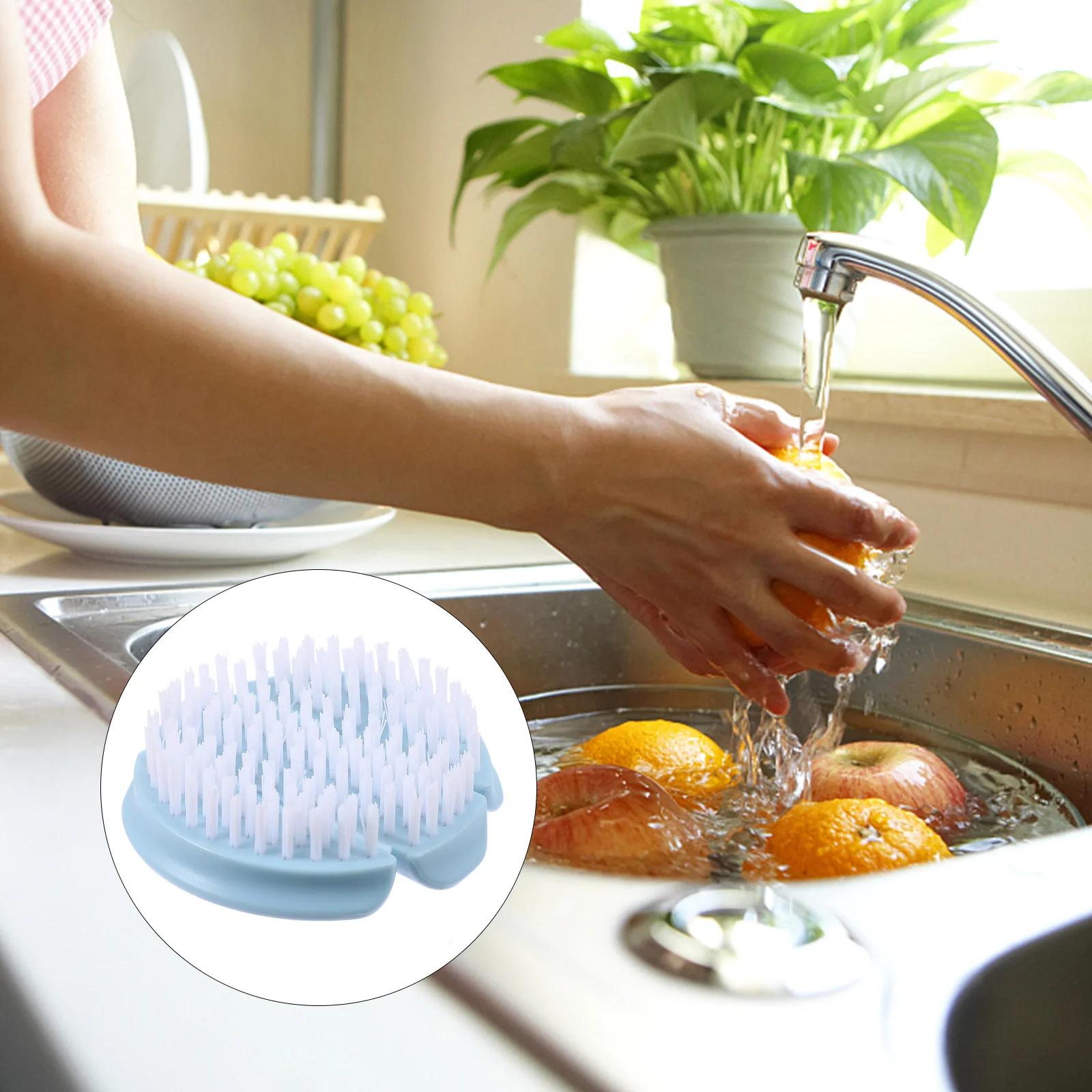 Fruit Vegetable Brush Potato Scrubber Multifunctional Scrubbing Kitchen Scrubbers for Dishes
Fruit Vegetable Brush Potato Scrubber Multifunctional Scrubbing Kitchen Scrubbers for Dishes
