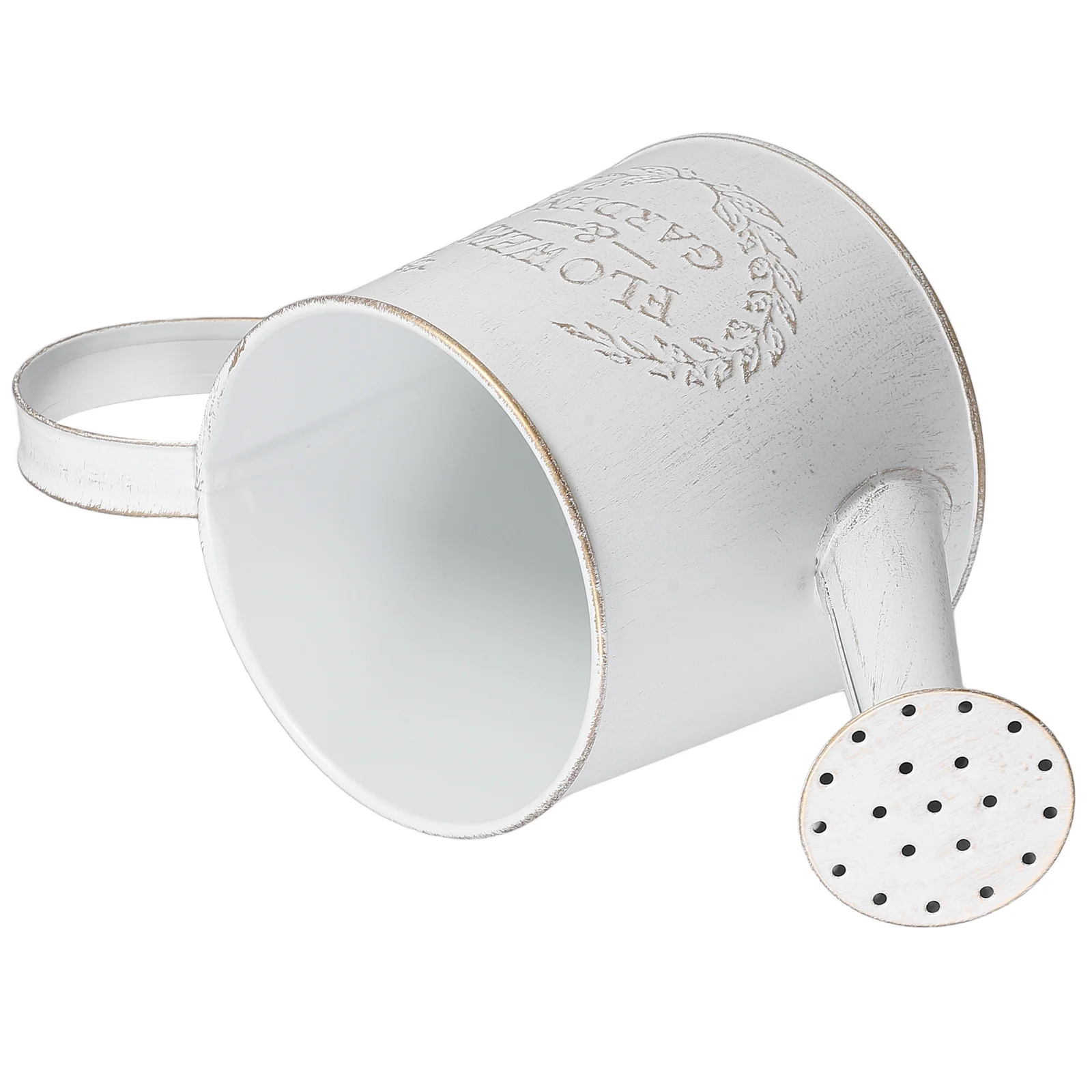 Watering Can Metal Long Spout for Indoor Outdoor Plants Garden Succulents Flowers Household Planting Tool Decorative Metal
Watering Can Metal Long Spout for Indoor Outdoor Plants Garden Succulents Flowers Household Planting Tool Decorative Metal