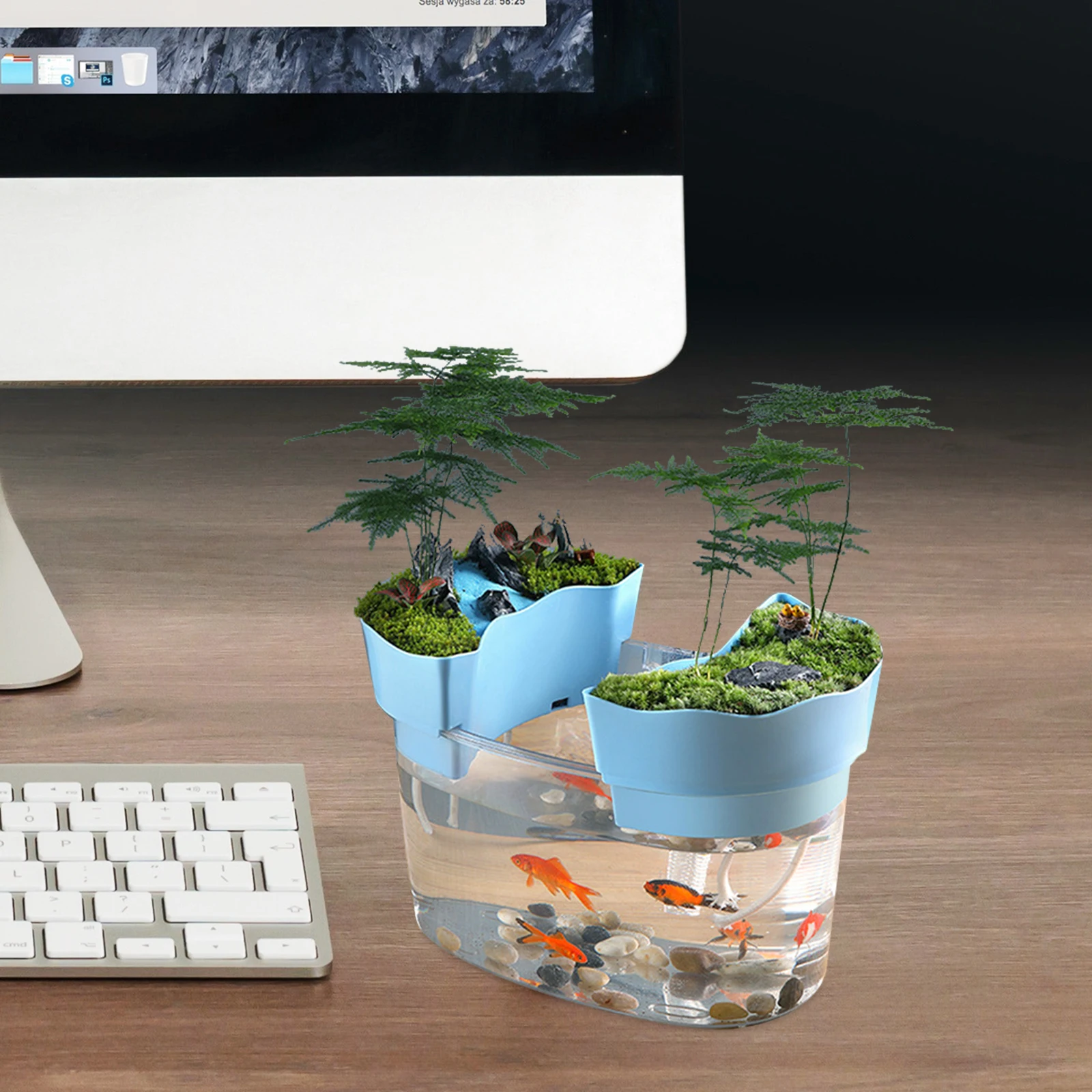 Small Desktop Aquarium Transparent Plastic Mini Fish Tank Blue Cover Turtle Breeding Home Decor Long Lasting Use Smooth Surface
Small Desktop Aquarium Transparent Plastic Mini Fish Tank Blue Cover Turtle Breeding Home Decor Long Lasting Use Smooth Surface
