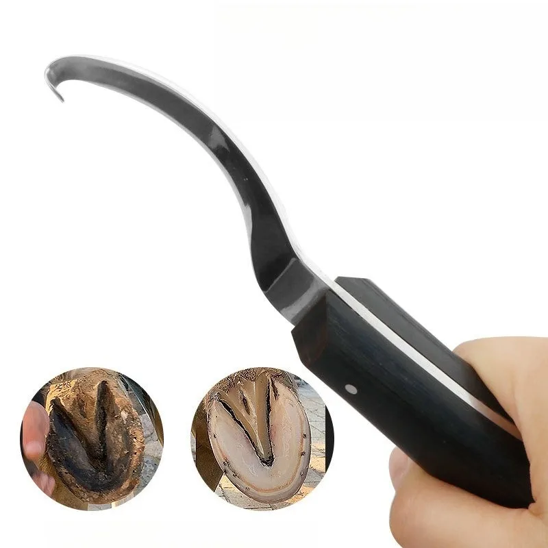 Hoof Knife Hoof Care Tool Horse Hoof Knife Double-edged Stainless Steel Horse Hoof Knife Stable Supplies Horse Care Products
Hoof Knife Hoof Care Tool Horse Hoof Knife Double-edged Stainless Steel Horse Hoof Knife Stable Supplies Horse Care Products