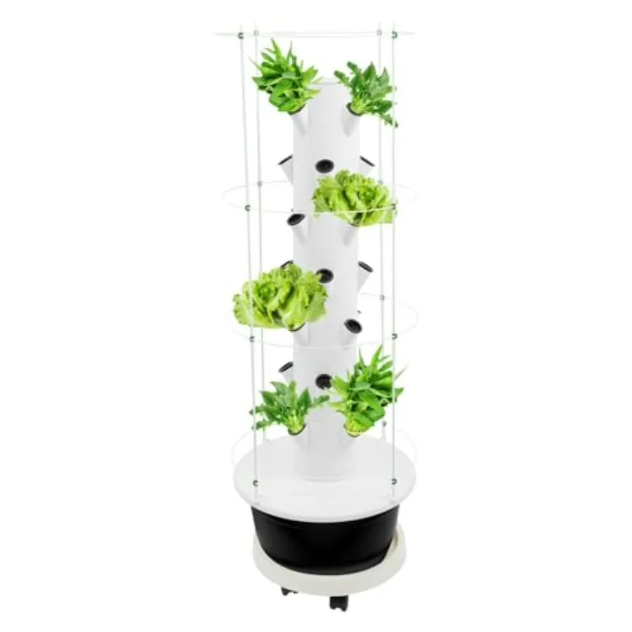 Vertical Hydroponic Tower with Climbing Trellis for Indoor Outdoor Herb Garden Vegetable Growing System Kit with 28 Planting Po
Vertical Hydroponic Tower with Climbing Trellis for Indoor Outdoor Herb Garden Vegetable Growing System Kit with 28 Planting Po