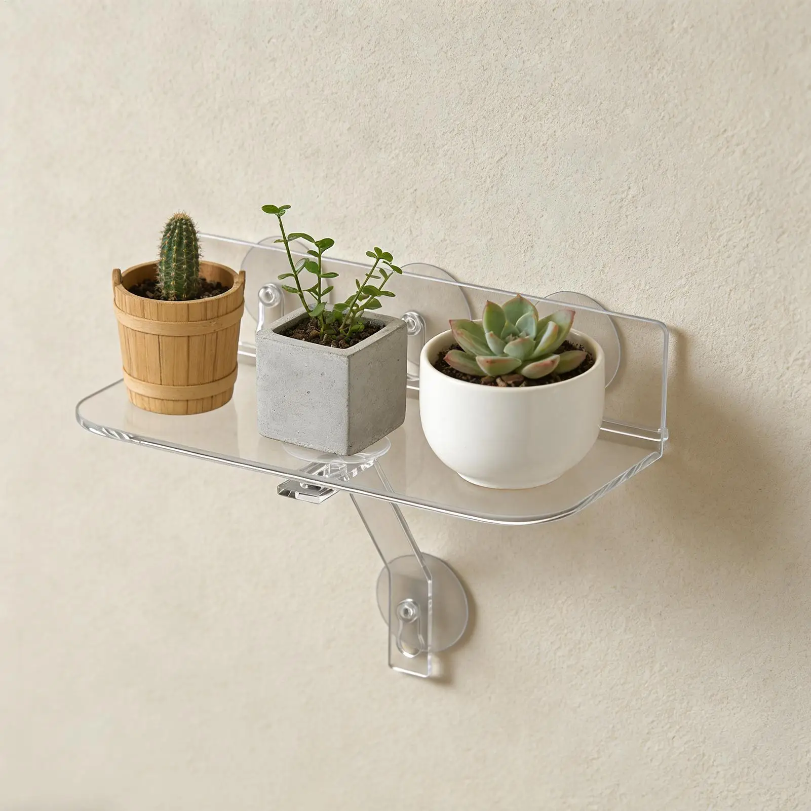 Оконные полки для растений, 2 шт., с присоской, настенный дисплей, прочная присоска, настенная полка для растений для улицы, дома, спальни
Оконные полки для растений, 2 шт., с присоской, настенный дисплей, прочная присоска, настенная полка для растений для улицы, дома, спальни