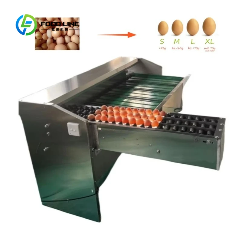 Машина для сортировки яиц с настраиваемым размером и струйным принтером, сверхмощный сортировщик яиц для птицефабрик
Машина для сортировки яиц с настраиваемым размером и струйным принтером, сверхмощный сортировщик яиц для птицефабрик