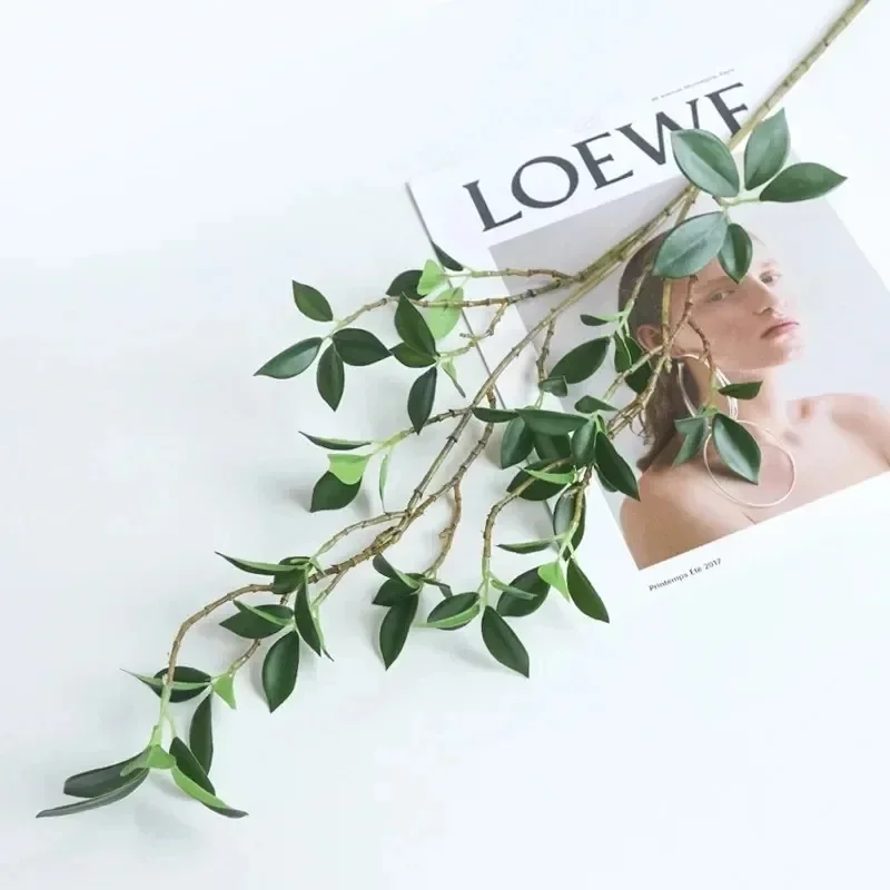1PC Artificial Tenuifolia Ficus Tree Branch Leaves Flower Home Decor Long Branch Table Home Wedding Decoration Plants
1PC Artificial Tenuifolia Ficus Tree Branch Leaves Flower Home Decor Long Branch Table Home Wedding Decoration Plants