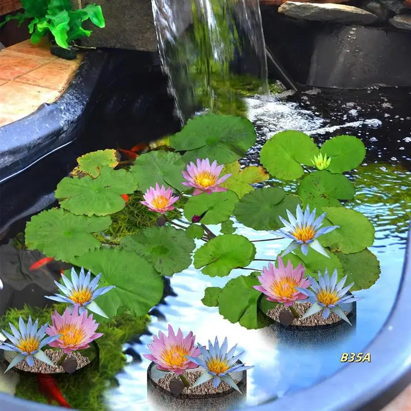 4 шт. дышащие и многоразовые сетчатые мешки для водных посадки, квадратные горшки с лилиями для водных садов
4 шт. дышащие и многоразовые сетчатые мешки для водных посадки, квадратные горшки с лилиями для водных садов