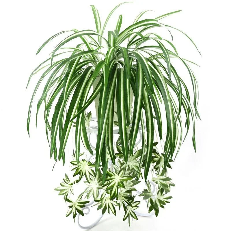 Artificial Plants Wall Hanging Chlorophytum Potted Green Plants PVC Fake Plants Simulation Flower Living Room Decor 65cm
Artificial Plants Wall Hanging Chlorophytum Potted Green Plants PVC Fake Plants Simulation Flower Living Room Decor 65cm