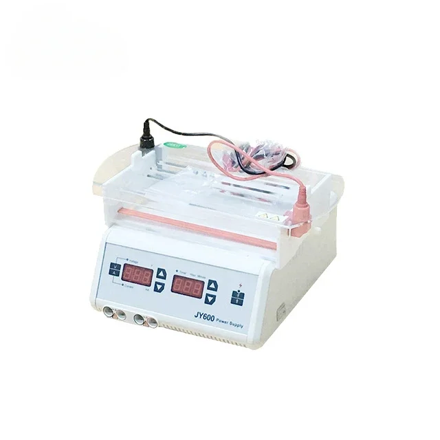2026 High Quality Electrophoresis Machine With Cell Apparatus Laboratory Equipment Best Price
2026 High Quality Electrophoresis Machine With Cell Apparatus Laboratory Equipment Best Price