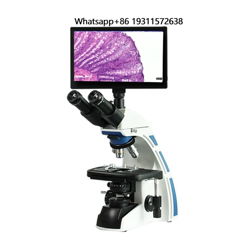 BL-170TDM 1000X Trinocular Digital LCD Biological Microscope with 11.6" 1080P LCD Display Screen
BL-170TDM 1000X Trinocular Digital LCD Biological Microscope with 11.6" 1080P LCD Display Screen