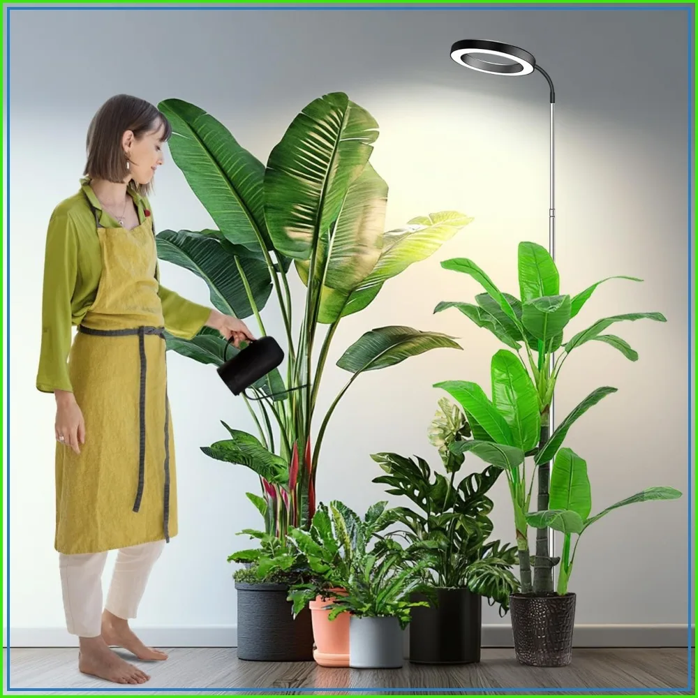 Full Spectrum 65" Grow Light for Indoor Plants, 80 LED Plant Lamp with Timer, Dimmable, Gooseneck, Height Adjustable
Full Spectrum 65" Grow Light for Indoor Plants, 80 LED Plant Lamp with Timer, Dimmable, Gooseneck, Height Adjustable