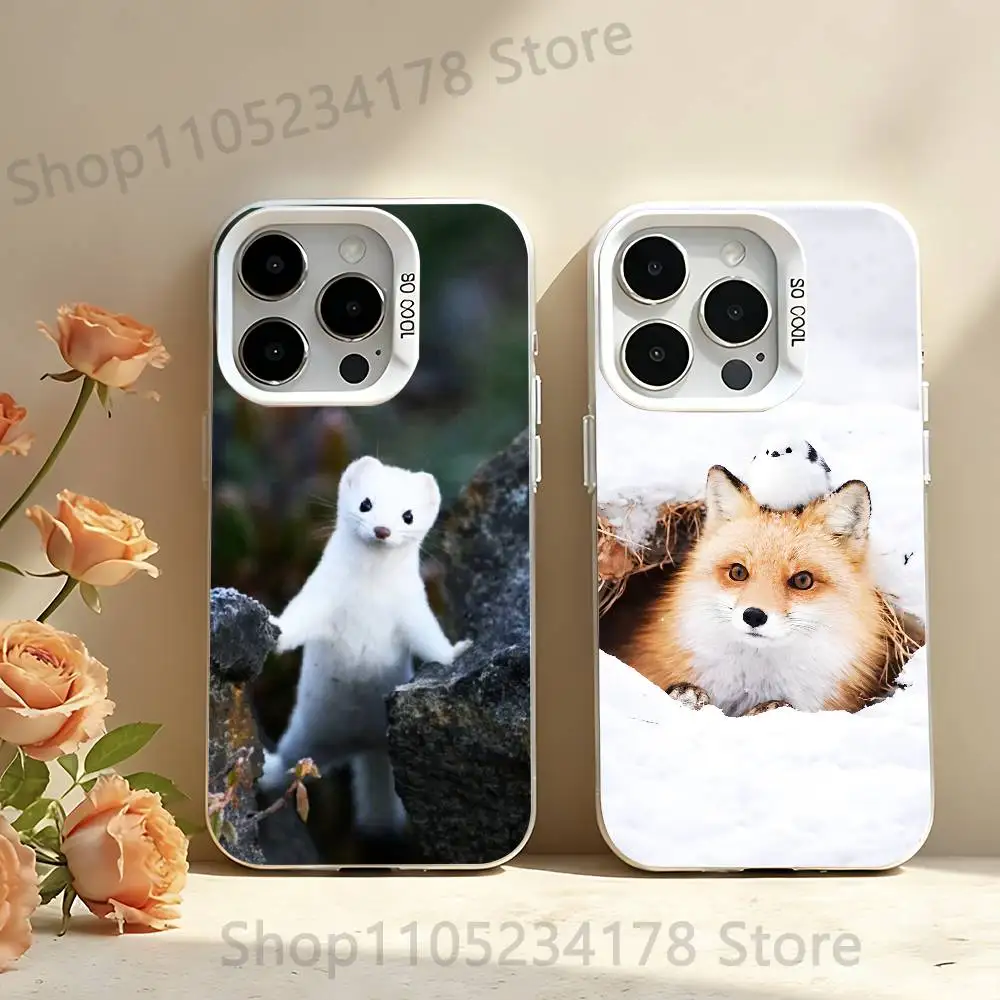 Snow Fox Cute Phone Case For iPhone 17,16,13,12,11,15,14,Pro,Max,Plus,SE4,Air,Mini White IMD Matte
Snow Fox Cute Phone Case For iPhone 17,16,13,12,11,15,14,Pro,Max,Plus,SE4,Air,Mini White IMD Matte