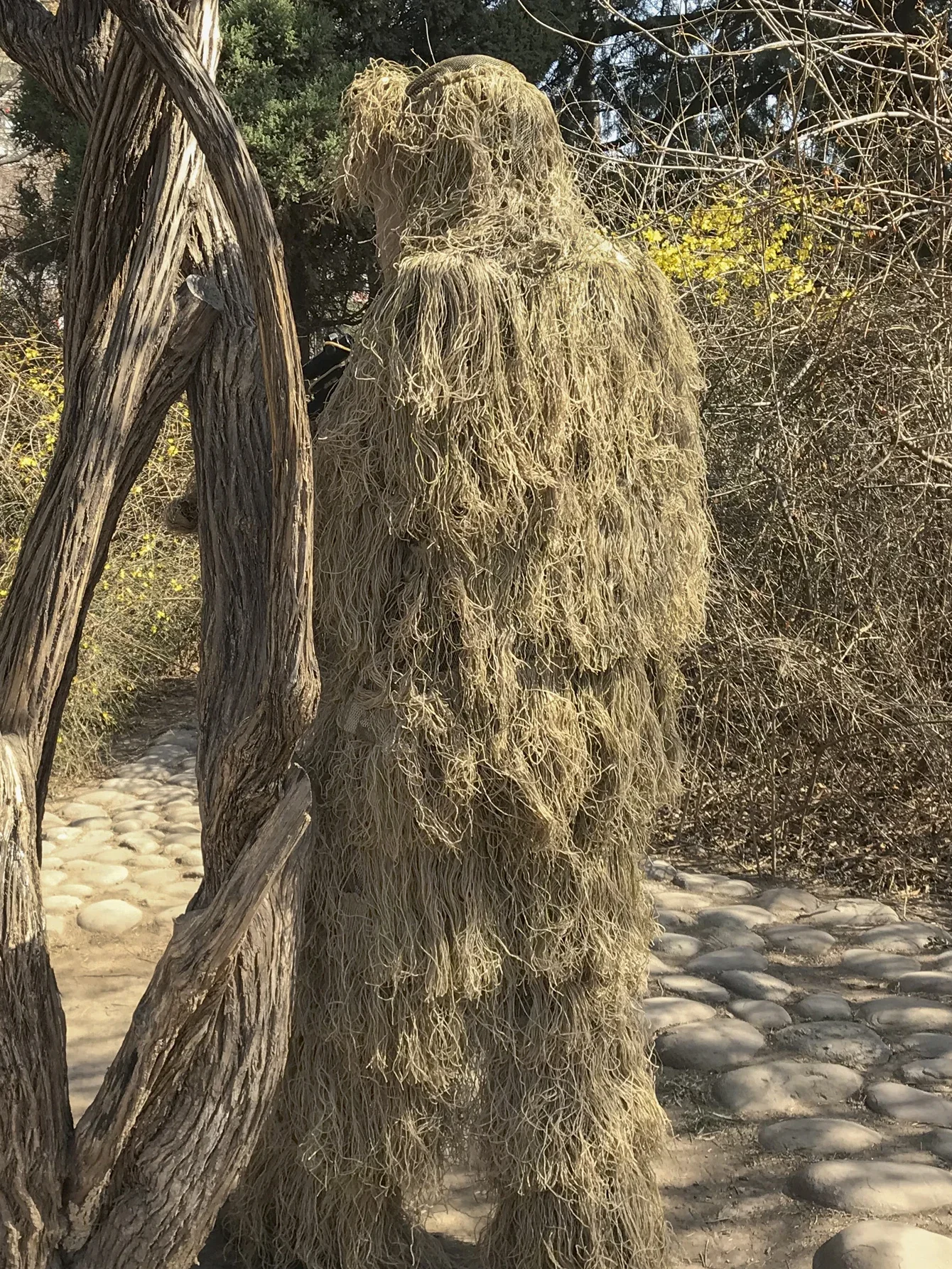 Костюм Ghillie с 3D взломы травы, 4 шт., снайперская тактическая камуфляжная одежда, охотничий костюм, охотничья одежда, костюм для птицы
Костюм Ghillie с 3D взломы травы, 4 шт., снайперская тактическая камуфляжная одежда, охотничий костюм, охотничья одежда, костюм для птицы
