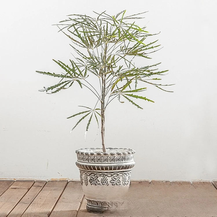 Nordic balcony green plants foreign, retro grape vine pattern, outdoor creative magnesium oxide cement pot
Nordic balcony green plants foreign, retro grape vine pattern, outdoor creative magnesium oxide cement pot