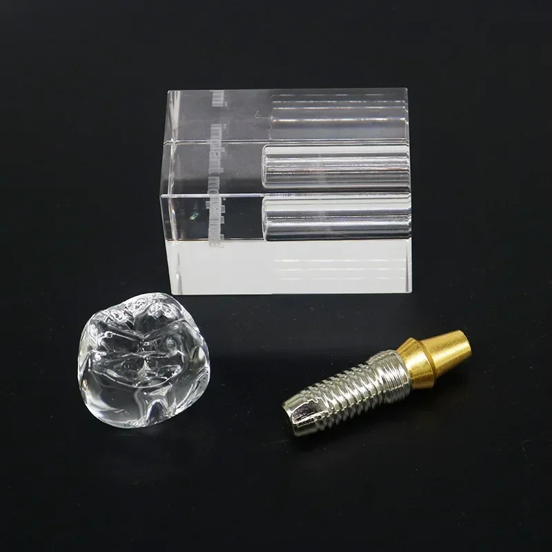 Dental Implant Teeth Model, Transparent Disease Teeth Model for Dental Student Learning, Teaching, Research Communication
Dental Implant Teeth Model, Transparent Disease Teeth Model for Dental Student Learning, Teaching, Research Communication