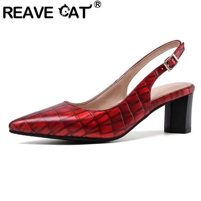 REAVE CAT Luxury Women Sandals Pointed Toe Chunky Heels 6cm Back Buckle Strap Plus Size 44 45 46 47 48 Soft Dating Shoes Summer
REAVE CAT Luxury Women Sandals Pointed Toe Chunky Heels 6cm Back Buckle Strap Plus Size 44 45 46 47 48 Soft Dating Shoes Summer