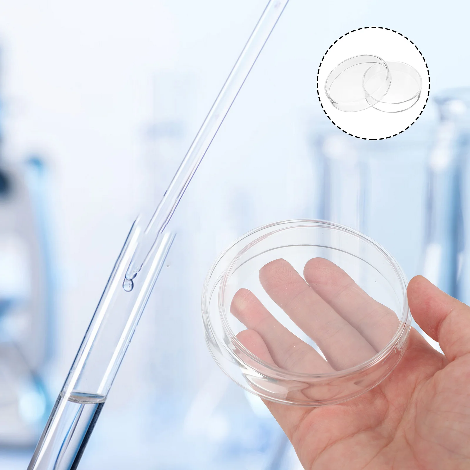 1Set Glass Petri Dishes Transparent Thick Plates for Cell Growth Scientific Experiments Petri Dishes Bulk
1Set Glass Petri Dishes Transparent Thick Plates for Cell Growth Scientific Experiments Petri Dishes Bulk