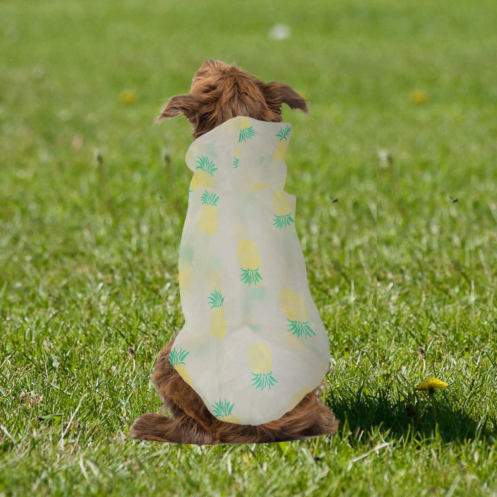 Pet Sun Protection Clothing Summer Dog Hoodie XL Size Breathable Comfortable Easy Wear Take Off Suitable Dogs Cats Small Pets
Pet Sun Protection Clothing Summer Dog Hoodie XL Size Breathable Comfortable Easy Wear Take Off Suitable Dogs Cats Small Pets