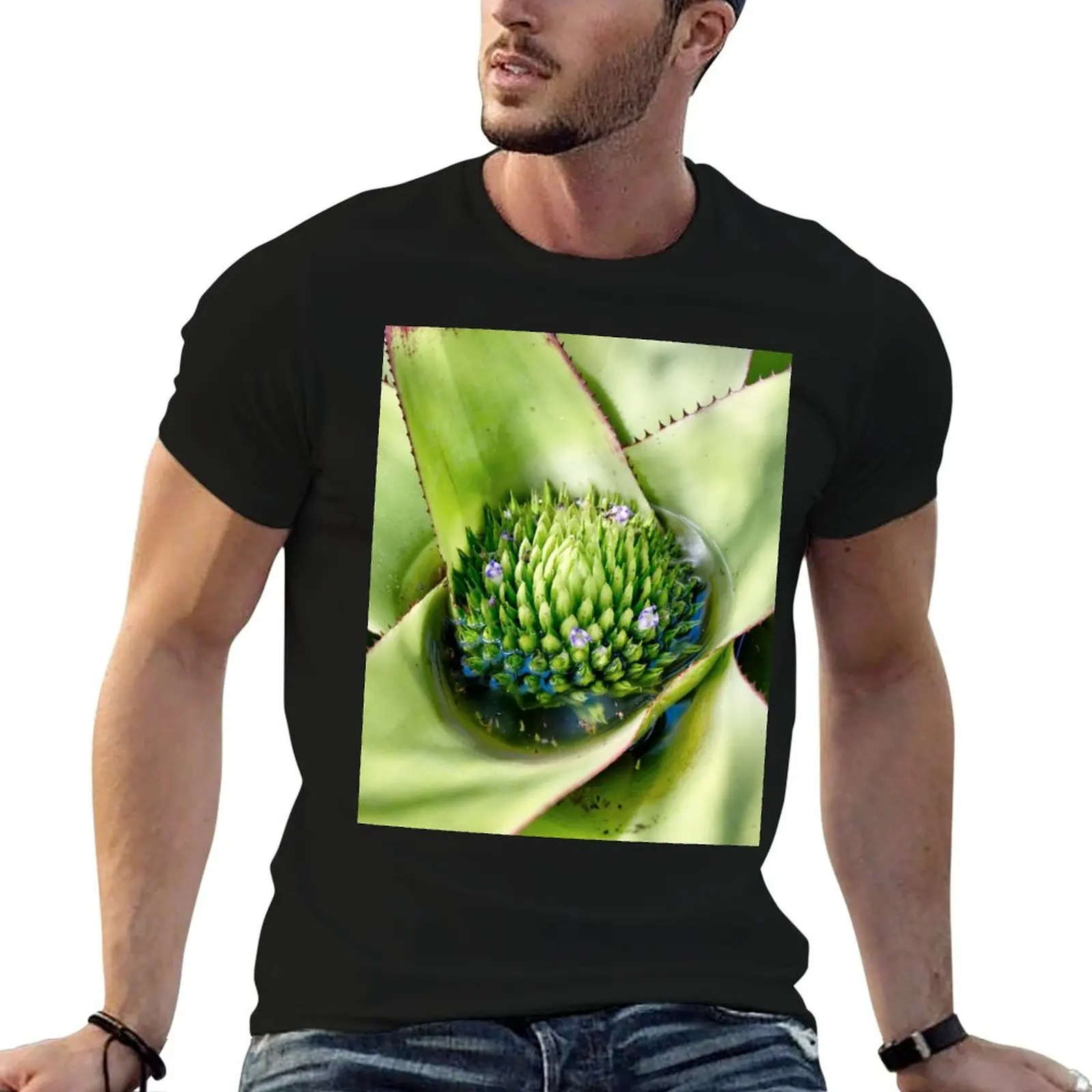 Bromeliad: (Aechmea pectinata) T-Shirt customs vintage graphic tee designer t shirt men
Bromeliad: (Aechmea pectinata) T-Shirt customs vintage graphic tee designer t shirt men