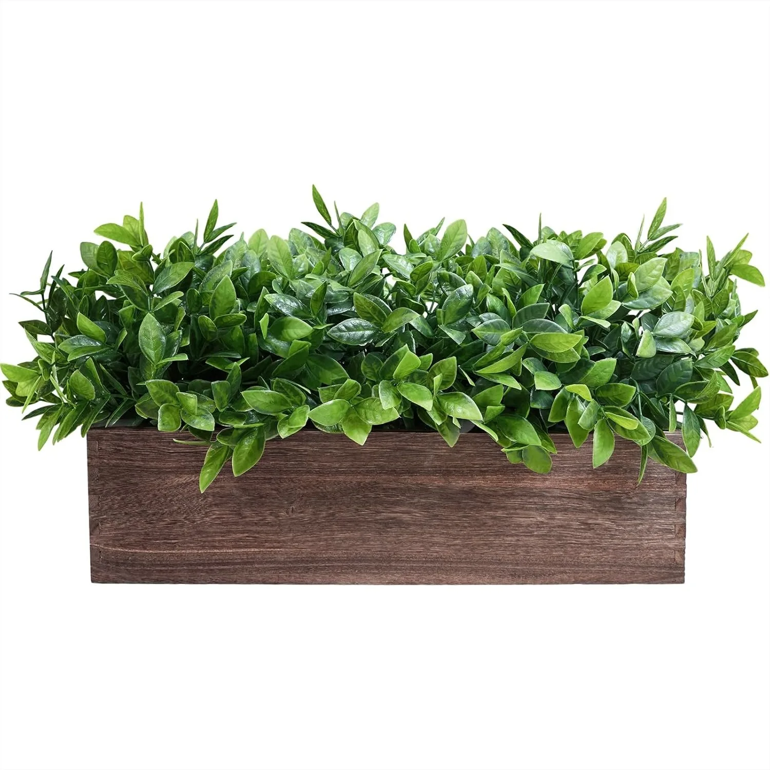 Faux Boxwood Plant in Rectangular Wood Planter for Farmhouse Table Centerpiece Dining Room Kitchen Windowsill Decor
Faux Boxwood Plant in Rectangular Wood Planter for Farmhouse Table Centerpiece Dining Room Kitchen Windowsill Decor