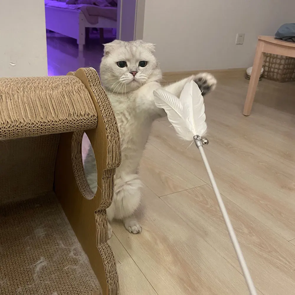 *Cat Toy Fairy Playing Cat Stick Feather Bell Long Stick Fighting Cat Stick Soothing Device
*Cat Toy Fairy Playing Cat Stick Feather Bell Long Stick Fighting Cat Stick Soothing Device