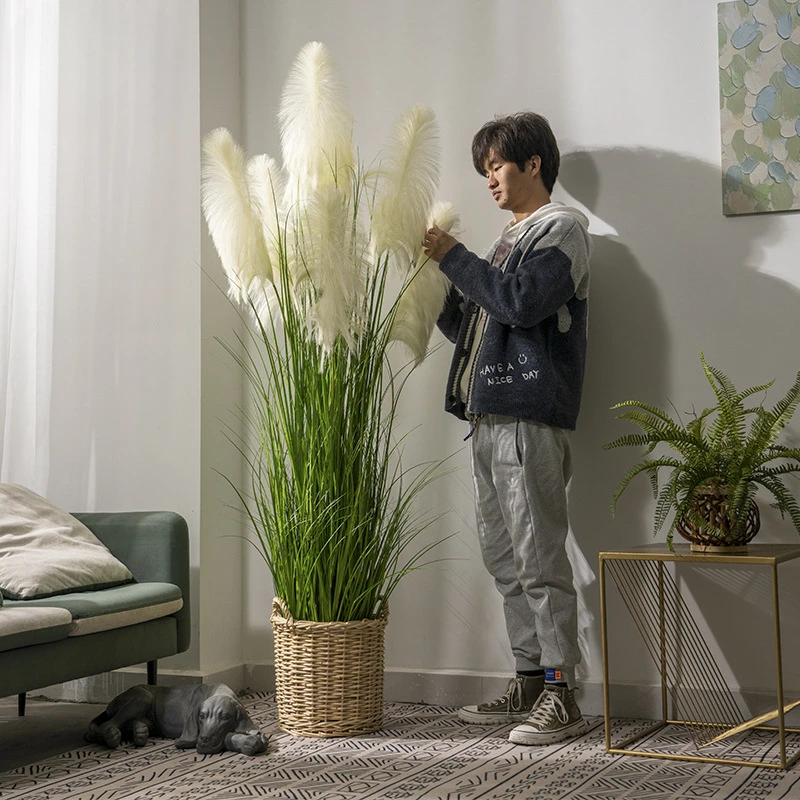 High-grade reed grass,, fake trees potted plants, living room indoor bionic green plants, decorative windows
High-grade reed grass,, fake trees potted plants, living room indoor bionic green plants, decorative windows