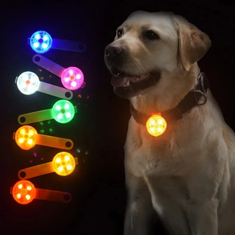 A Pet Dog Cat Collar Pendant Night Safety Cat Luminous Light IPX7 Waterproof Flashing Harness with Light for Dog
A Pet Dog Cat Collar Pendant Night Safety Cat Luminous Light IPX7 Waterproof Flashing Harness with Light for Dog