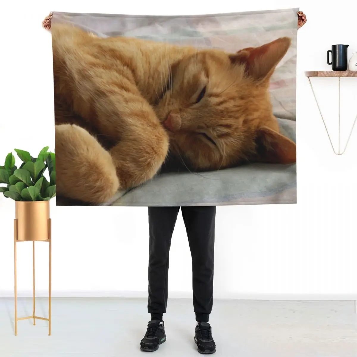 Ginger Cat Sleeping Throw Blanket Fade Resistant Durable Throw Blanket
Ginger Cat Sleeping Throw Blanket Fade Resistant Durable Throw Blanket