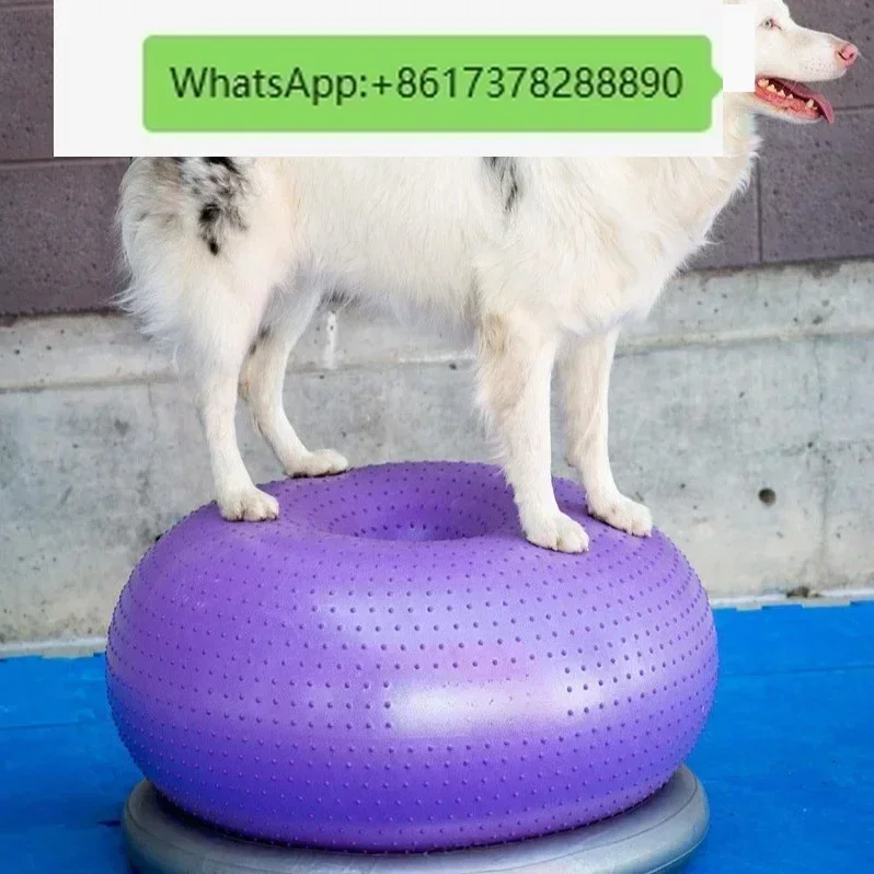 Мяч-пончик для домашних животных, фитнес, спортивная реабилитация, коррекция арки, спины, осанка
Мяч-пончик для домашних животных, фитнес, спортивная реабилитация, коррекция арки, спины, осанка