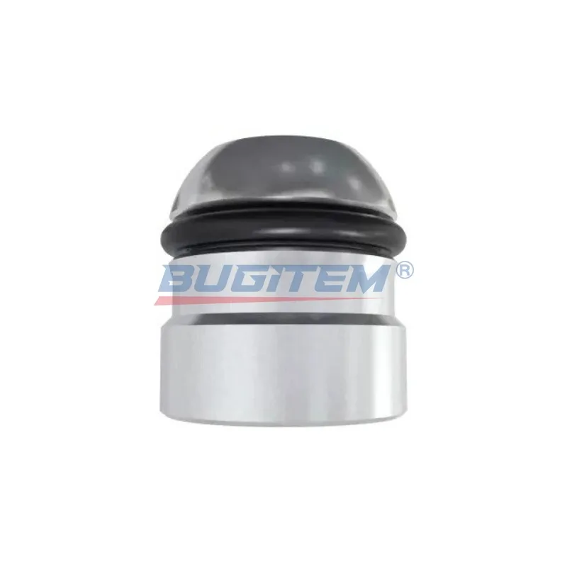 1PCS New EGR Valve Tappet For Jeep Wrangler Ram 1500 2014-2023 Replace 68490221AA 68150065AA 68150065AB 8395635AA 46345658
1PCS New EGR Valve Tappet For Jeep Wrangler Ram 1500 2014-2023 Replace 68490221AA 68150065AA 68150065AB 8395635AA 46345658