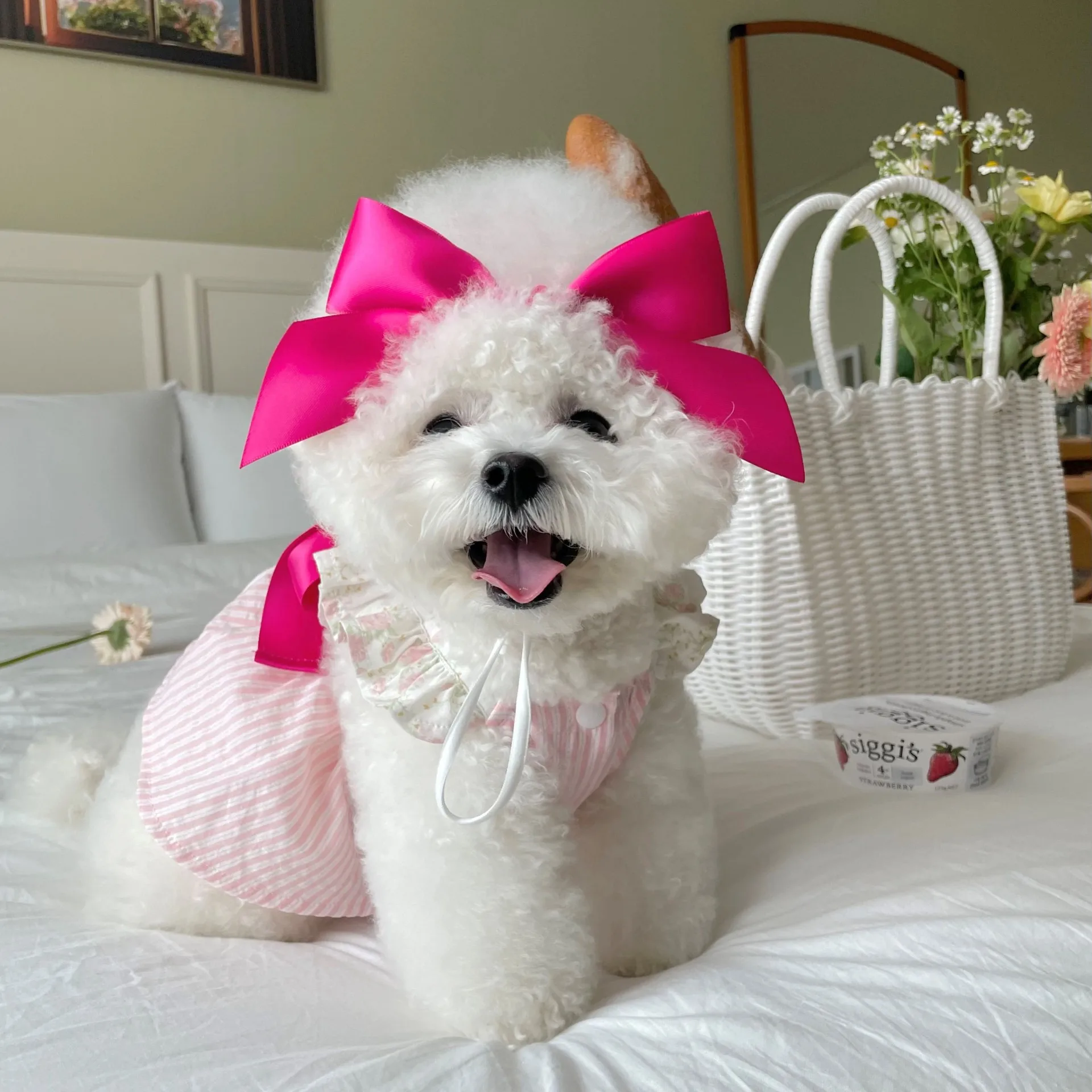 Pet Headgear Teddy Bow Hat Dog Girls Bunny Turban Knot Bow Adjustable Knot Bow Hair Decoration Pet Supplies
Pet Headgear Teddy Bow Hat Dog Girls Bunny Turban Knot Bow Adjustable Knot Bow Hair Decoration Pet Supplies