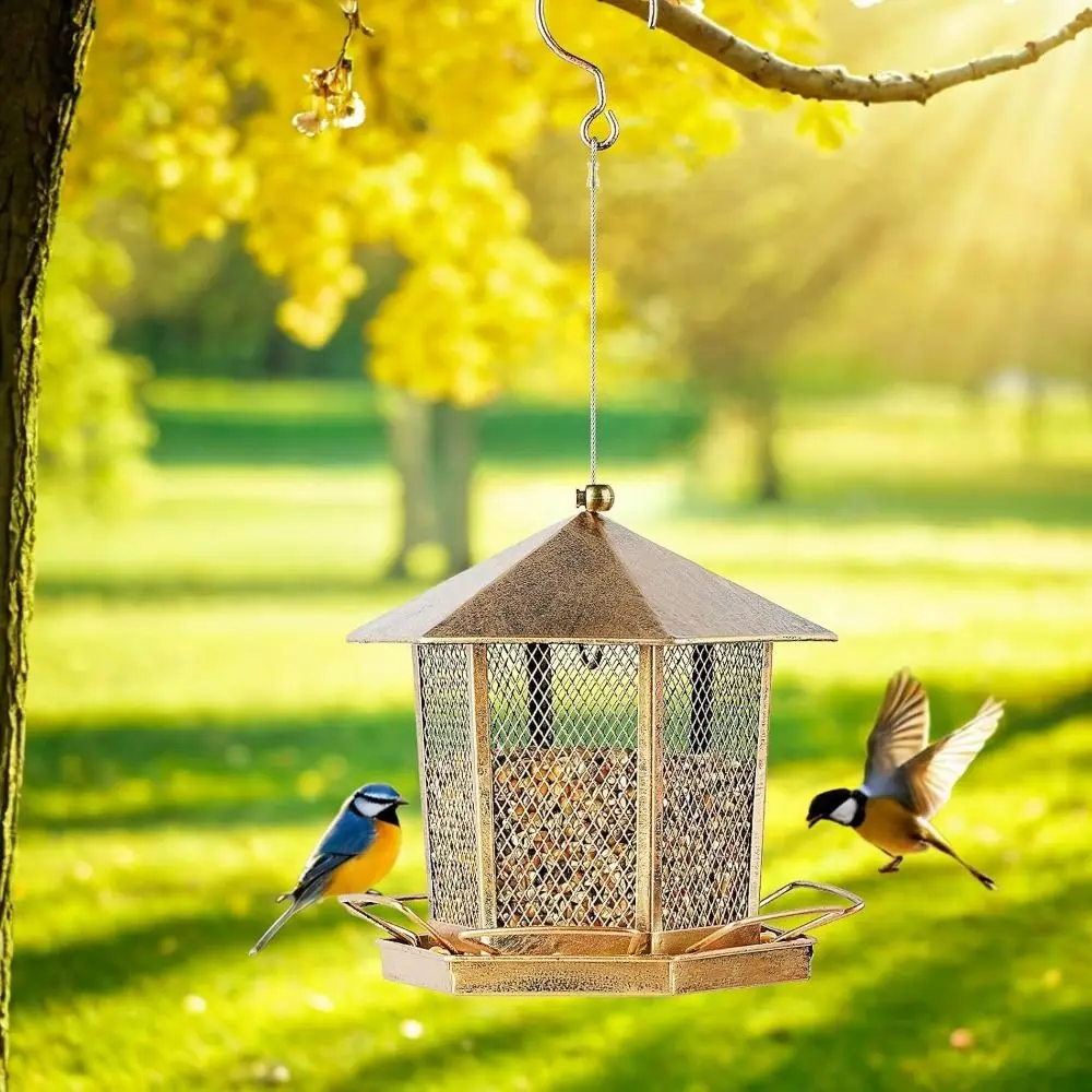 Large Capacity Garden Bird Feeder Iron Squirrel Proof Bird Feeding Equipment Heavy Duty Hanging Parrot Feeding Station Backyard
Large Capacity Garden Bird Feeder Iron Squirrel Proof Bird Feeding Equipment Heavy Duty Hanging Parrot Feeding Station Backyard