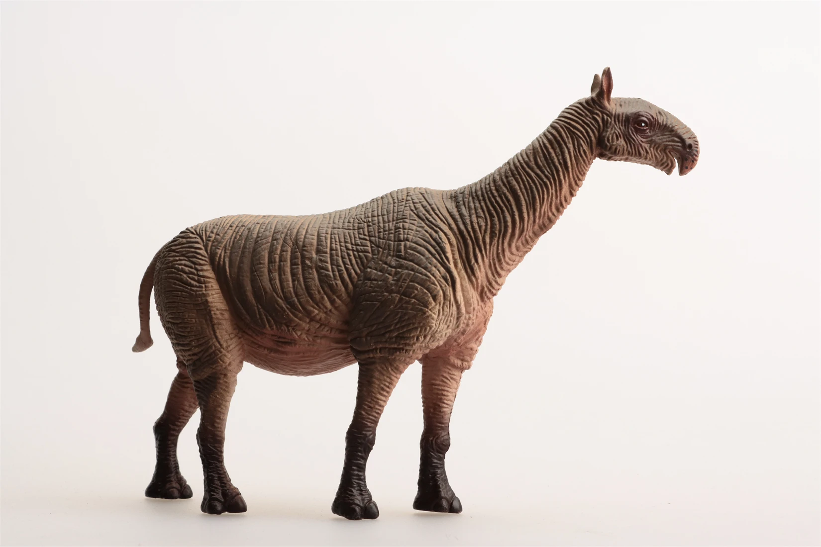 Earth Story Studio Paraceratherium Model Prehistoric Animal Figure Collection Scene Decoration Birthday Gift Toy
Earth Story Studio Paraceratherium Model Prehistoric Animal Figure Collection Scene Decoration Birthday Gift Toy
