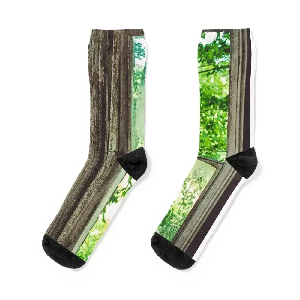 A look into the green Socks basketball professional running cotton sports stockings Women Socks Men's
A look into the green Socks basketball professional running cotton sports stockings Women Socks Men's