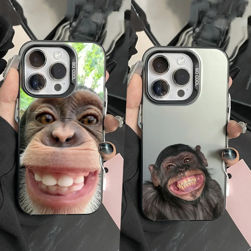 Monkey Memes Funny Phone Case For iPhone 16,15,14,13,12,11,Pro,Max,Plus,Mini,XS Anti Fall Black Matte Hard Bumper
Monkey Memes Funny Phone Case For iPhone 16,15,14,13,12,11,Pro,Max,Plus,Mini,XS Anti Fall Black Matte Hard Bumper