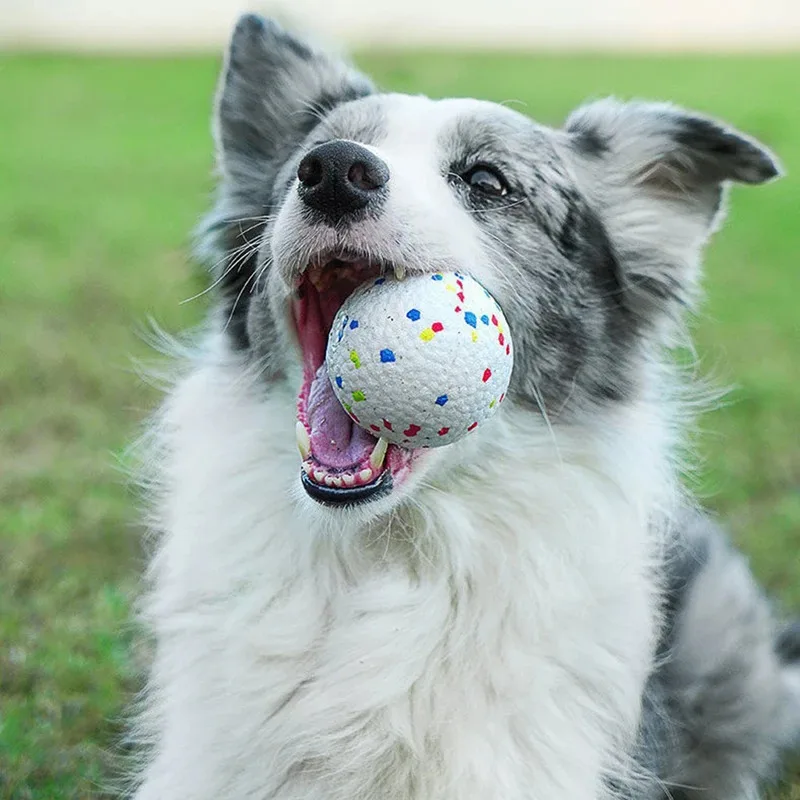 ETPU High Elastic Dog Chew Toy Ball 5cm Bite Resistant Rubber Grinding Teeth Pet Supplies for Aggressive Chewers Puppy
ETPU High Elastic Dog Chew Toy Ball 5cm Bite Resistant Rubber Grinding Teeth Pet Supplies for Aggressive Chewers Puppy