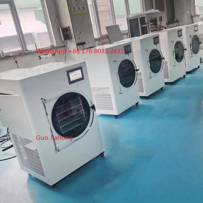Kitchen Use 2-3kgs Mini Lyophilizer Drying Machine Food Fruit Vegetable Herbs Desktop Vacuum Dryer
Kitchen Use 2-3kgs Mini Lyophilizer Drying Machine Food Fruit Vegetable Herbs Desktop Vacuum Dryer