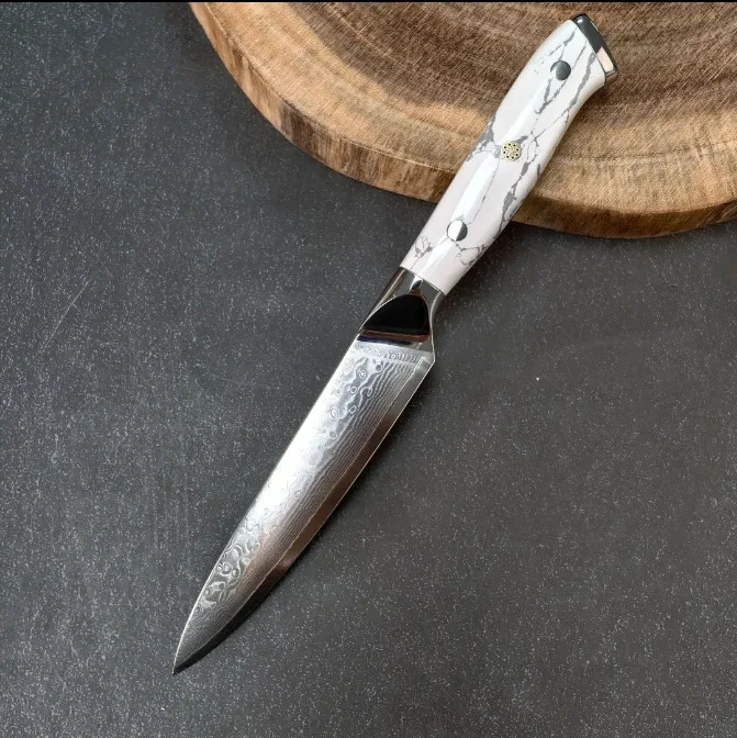 4.7 Inch Utility Knife 67-layers Damascus Steel 10Cr15CoMov Blade Turquoise Handle Paring Barbecue Slicing Cleaver Kitchen Knife
4.7 Inch Utility Knife 67-layers Damascus Steel 10Cr15CoMov Blade Turquoise Handle Paring Barbecue Slicing Cleaver Kitchen Knife