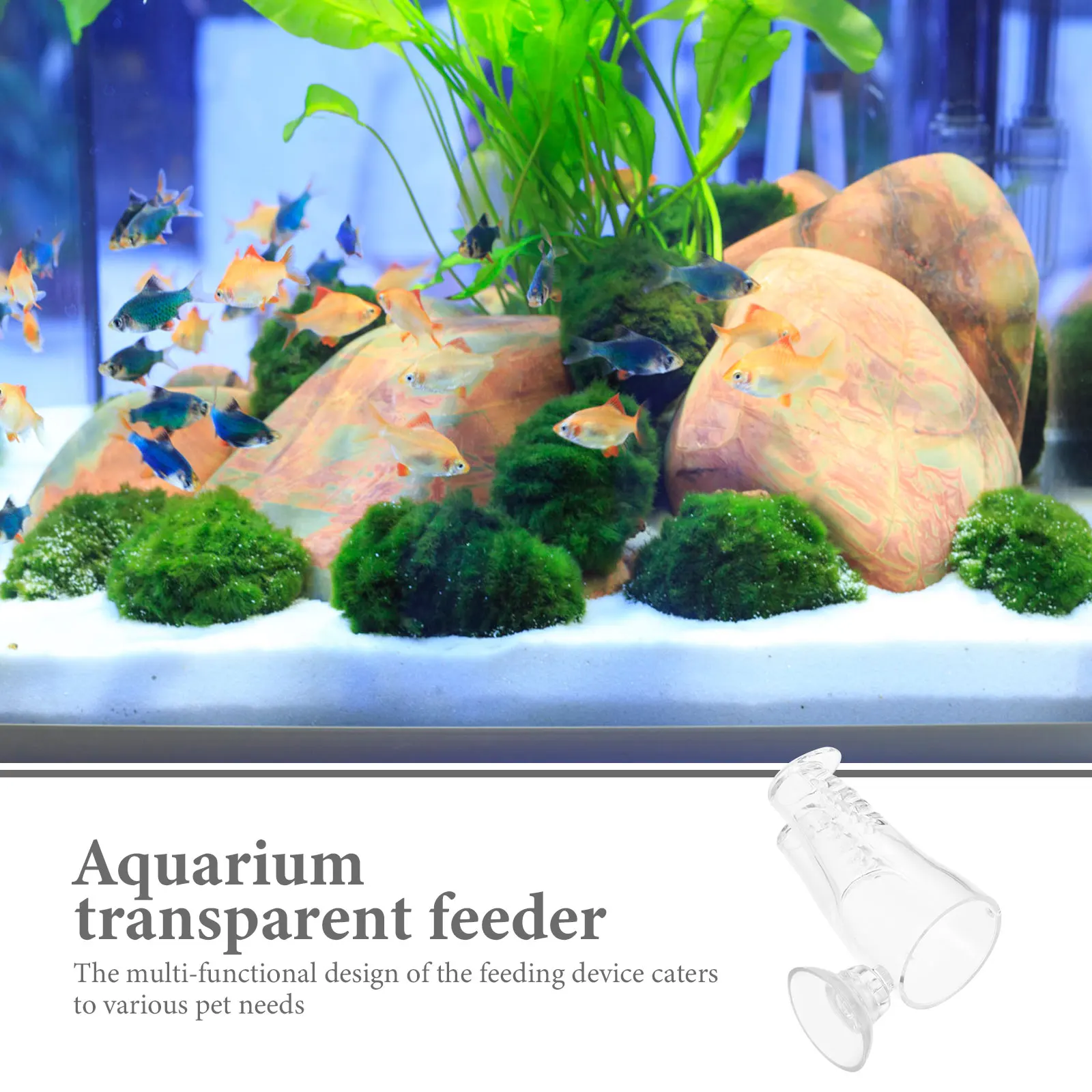 Pant-Shaped Aquarium Feeder Transparent Acrylic Fish Shrimp Feeding Tool With Worm Catcher Betta Tank Accessories Vacation
Pant-Shaped Aquarium Feeder Transparent Acrylic Fish Shrimp Feeding Tool With Worm Catcher Betta Tank Accessories Vacation