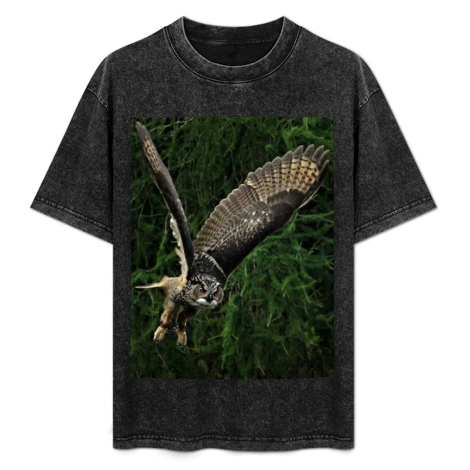 Футболка Burrowing Owl, футбольная футболка, заготовки, милая одежда, черная мужская футболка с рисунком
Футболка Burrowing Owl, футбольная футболка, заготовки, милая одежда, черная мужская футболка с рисунком