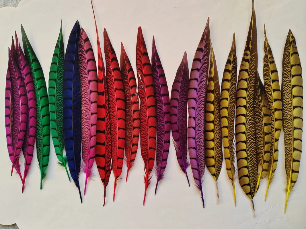 Wholesale! 20Pcs! 20-30CM Long Loose Multicolored Lady Amherst Pheasant Tail Feathers Quills Natural Feathers for Crafts
Wholesale! 20Pcs! 20-30CM Long Loose Multicolored Lady Amherst Pheasant Tail Feathers Quills Natural Feathers for Crafts