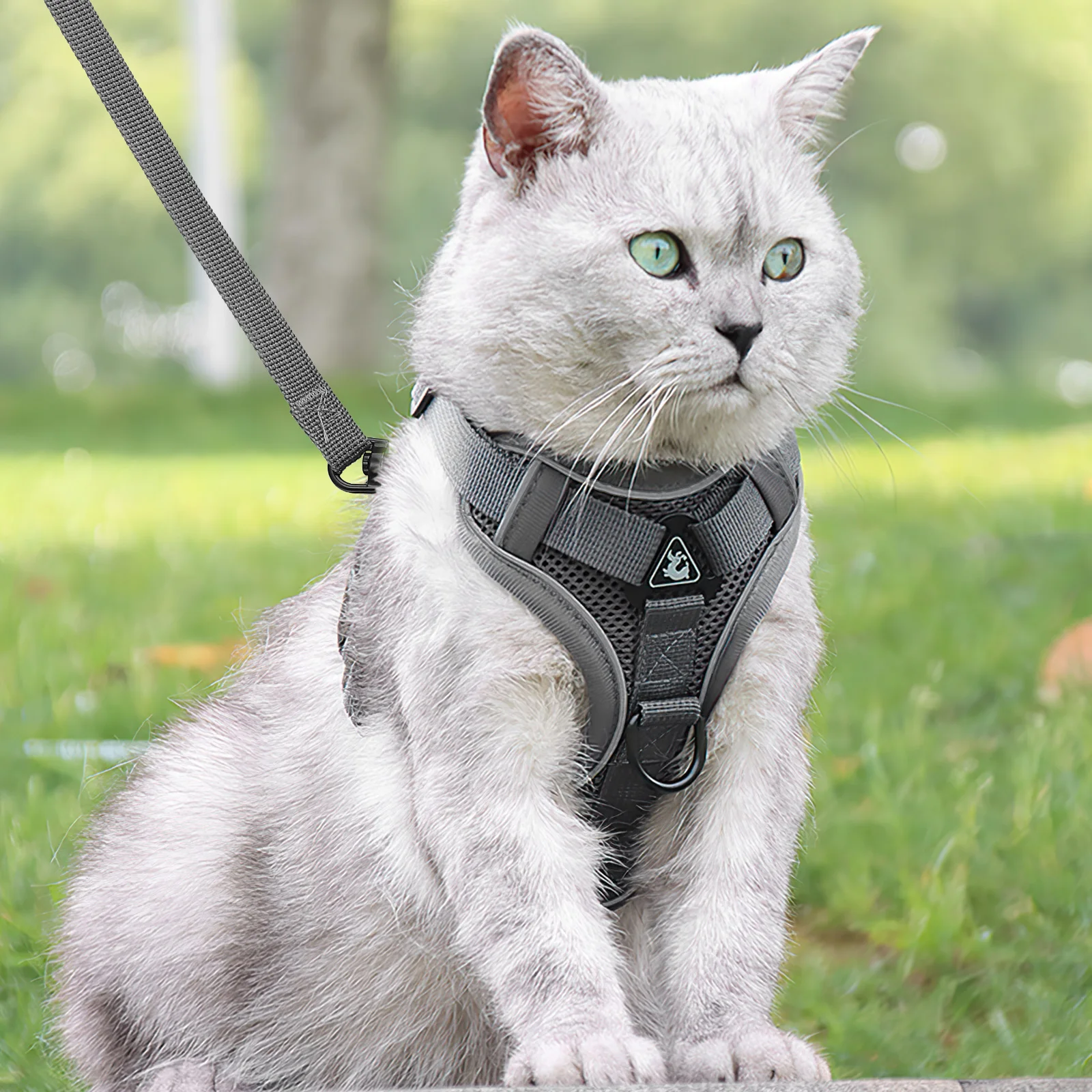 Chest Strap Cat Rope Dog Harness Small Belt Polyester Reflective Material Breathable Mesh Adjustable Length L Size Gray Pet
Chest Strap Cat Rope Dog Harness Small Belt Polyester Reflective Material Breathable Mesh Adjustable Length L Size Gray Pet