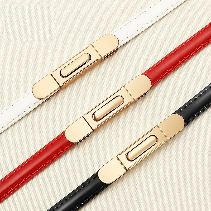 Women Skinny Leather Belt for Dress Adjustable Elastic Thin Cinch Waist with Alloy Buckle for Ladies Dress Banquet Decoration
Women Skinny Leather Belt for Dress Adjustable Elastic Thin Cinch Waist with Alloy Buckle for Ladies Dress Banquet Decoration