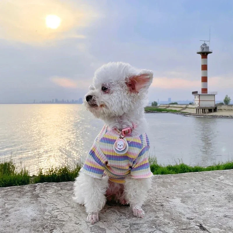 Frühling Baumwolle Welpen Katze Hund Weste Hemd Nette Haustier Kleidung für Kleine Hunde Yorkies Chihuahua Shirts Mascotas Kle
Frühling Baumwolle Welpen Katze Hund Weste Hemd Nette Haustier Kleidung für Kleine Hunde Yorkies Chihuahua Shirts Mascotas Kle