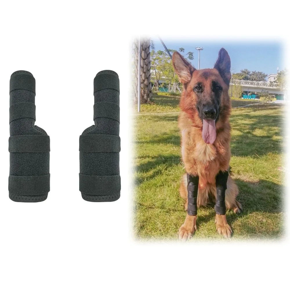 Dog Knee Brace for Joint Support – Warm & Adjustable Leg Protection, Pet Arthritis Relief, Breathable Dog Knee Wrap with Strap
Dog Knee Brace for Joint Support – Warm & Adjustable Leg Protection, Pet Arthritis Relief, Breathable Dog Knee Wrap with Strap