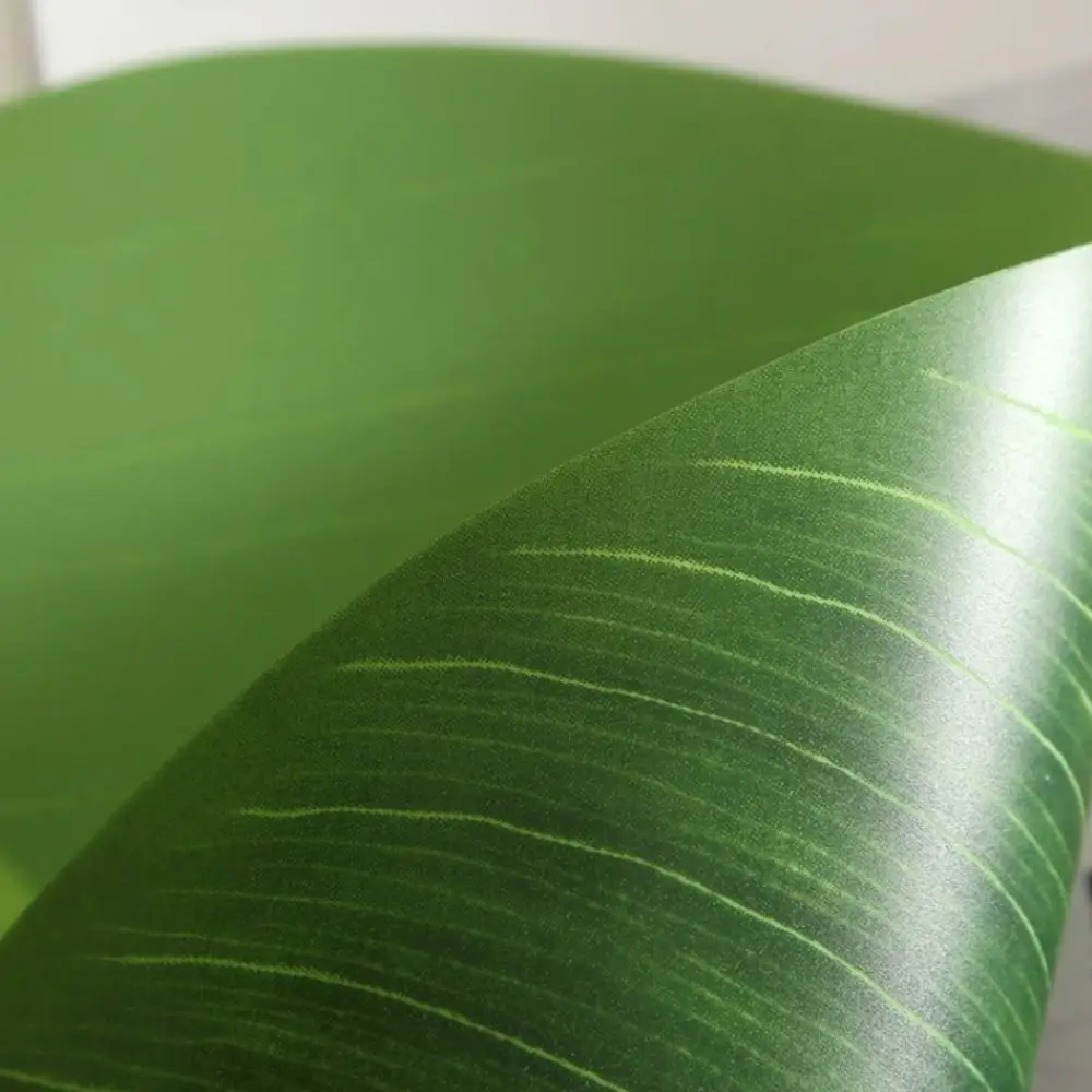 2PCS Realistic Leaf-Shaped Placemat Waterproof Oil-resistant Heat Insulation Mat Washable Stain Resistant Dinnerware Pad
2PCS Realistic Leaf-Shaped Placemat Waterproof Oil-resistant Heat Insulation Mat Washable Stain Resistant Dinnerware Pad