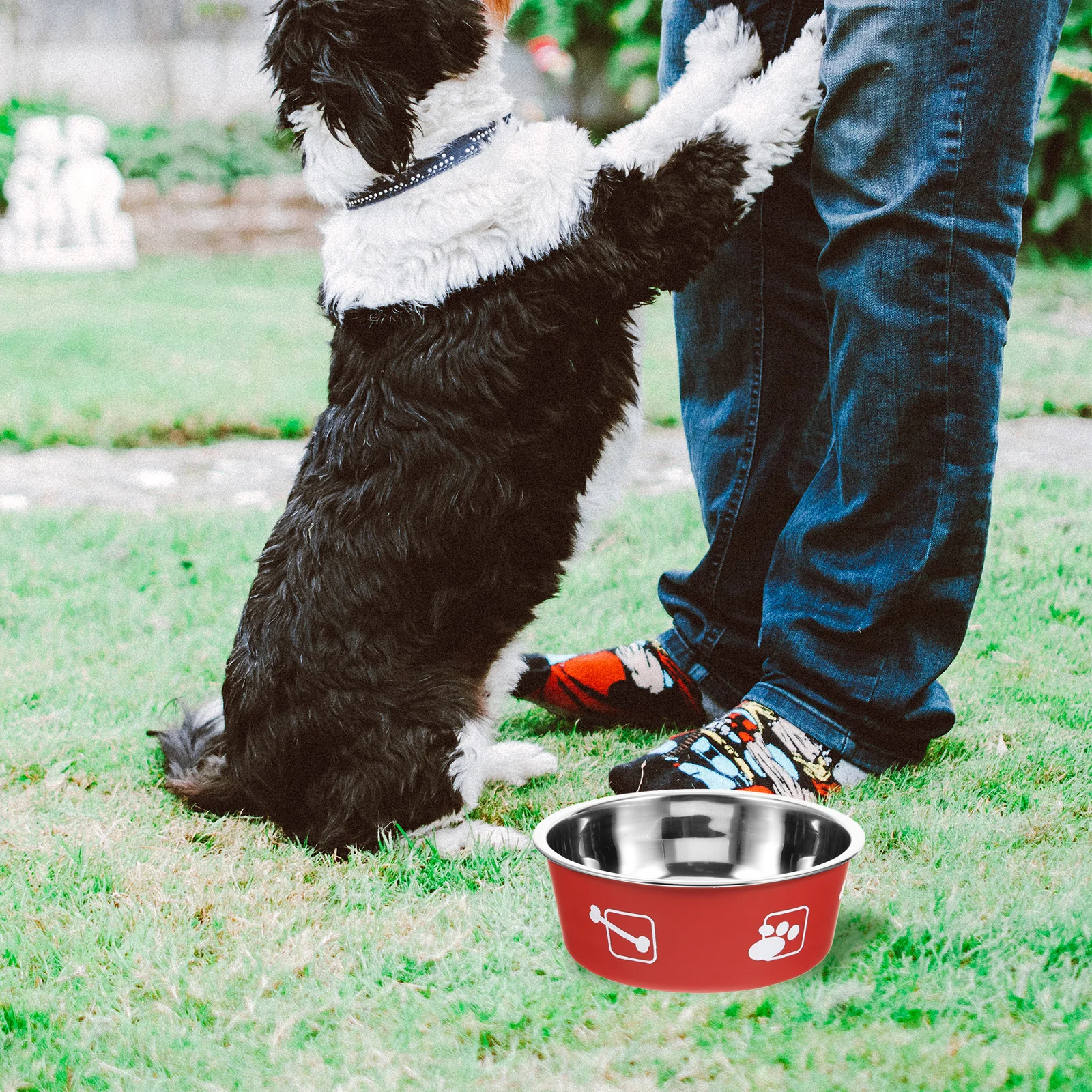 Stainless Steel Bowl M Size Brick Red Non Skid Puppy Feeder Large Capacity Easy Clean Pet Bowls for Small Dogs Stainless Dog
Stainless Steel Bowl M Size Brick Red Non Skid Puppy Feeder Large Capacity Easy Clean Pet Bowls for Small Dogs Stainless Dog