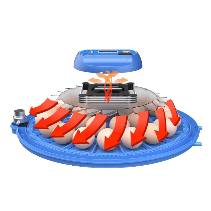 Автоматический мини-инкубатор, 52 шт., куриные индейские яйца, высокая скорость инкубации 95%, полностью автоматический поднос 220 В, птицы, утки, гусь, 220 В + 12 В
Автоматический мини-инкубатор, 52 шт., куриные индейские яйца, высокая скорость инкубации 95%, полностью автоматический поднос 220 В, птицы, утки, гусь, 220 В + 12 В