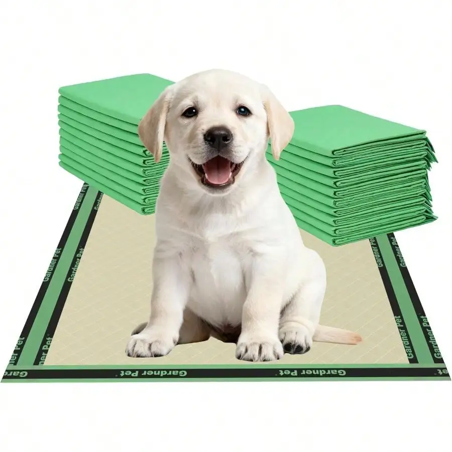 Disposable Puppy Pads XL, 22x 22 Dog Pee Pads Dogs, Absorbent Leak-Proof Full Wrapping Thick Dog Potty Training Pads (50 Count)
Disposable Puppy Pads XL, 22x 22 Dog Pee Pads Dogs, Absorbent Leak-Proof Full Wrapping Thick Dog Potty Training Pads (50 Count)